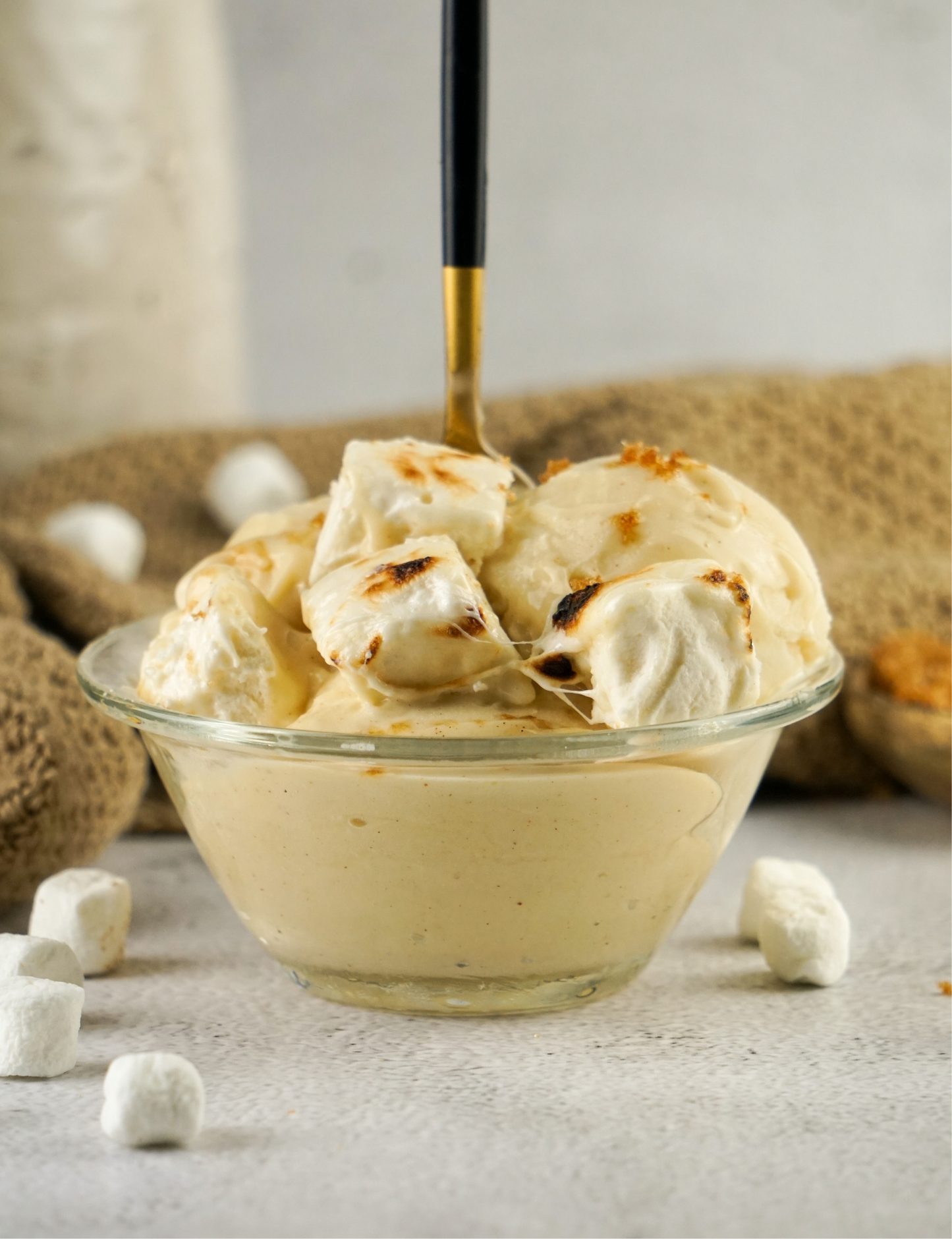 Holiday Favorites - 25 Macro Friendly Ninja Creami Recipes (Digital Download Only)